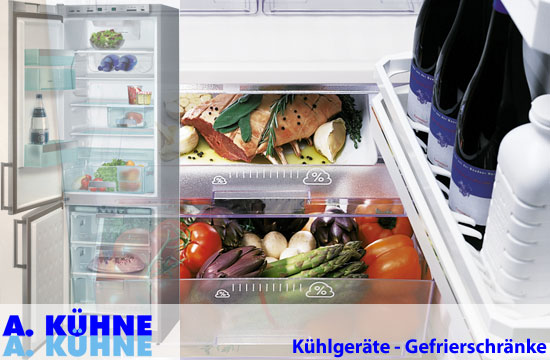 KÜHLGERÄTE GEFRIERSCHRÄNKE kühlen und gefrieren Kühlschrank Gefriergeräte Kühltruhen für Einbau und freistehend Aktionen Aktionspreise ... zur Startseite »